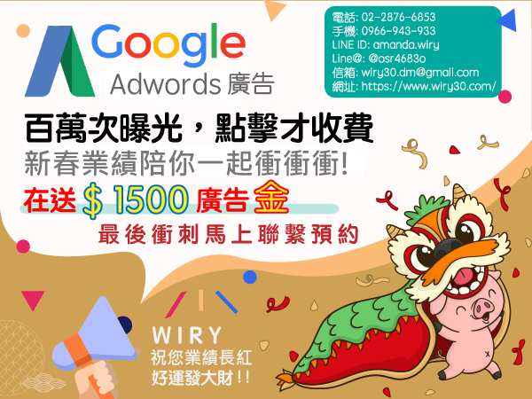 Wiry30 Google廣告服務
