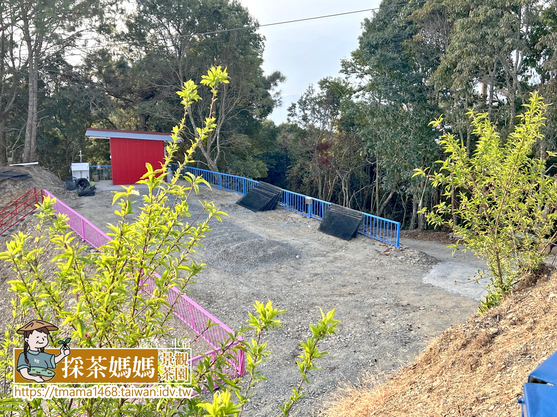 採茶媽媽露營區,南投採茶媽媽露營區,關頭山採茶媽媽露營區