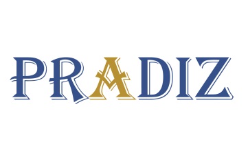 Logo(PRADIZ)-外框-縮小