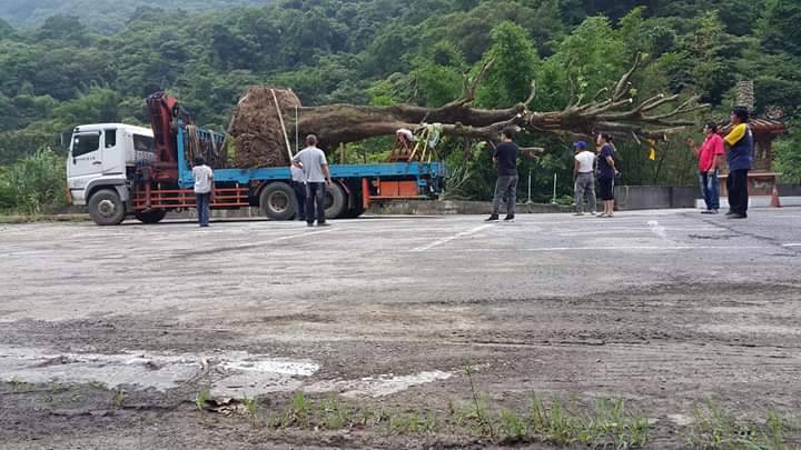 吊卡車運輸 (3)