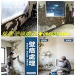 桃園壁癌,桃園壁癌處理,桃園壁癌推薦,壁癌處理桃園,桃園壁癌處理推薦,桃园壁癌,桃園屋頂防水,桃園防水工程,桃園壁癌油漆,桃園壁癌處理費用,壁癌處理價格桃園,桃園壁癌估價,壁癌處理費用桃園,桃園壁癌費用,桃園透天壁癌處理,壁癌處理報價桃園,桃園壁癌防水工程